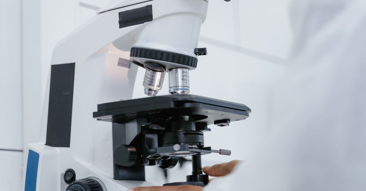 Scientist working in a fertility laboratory