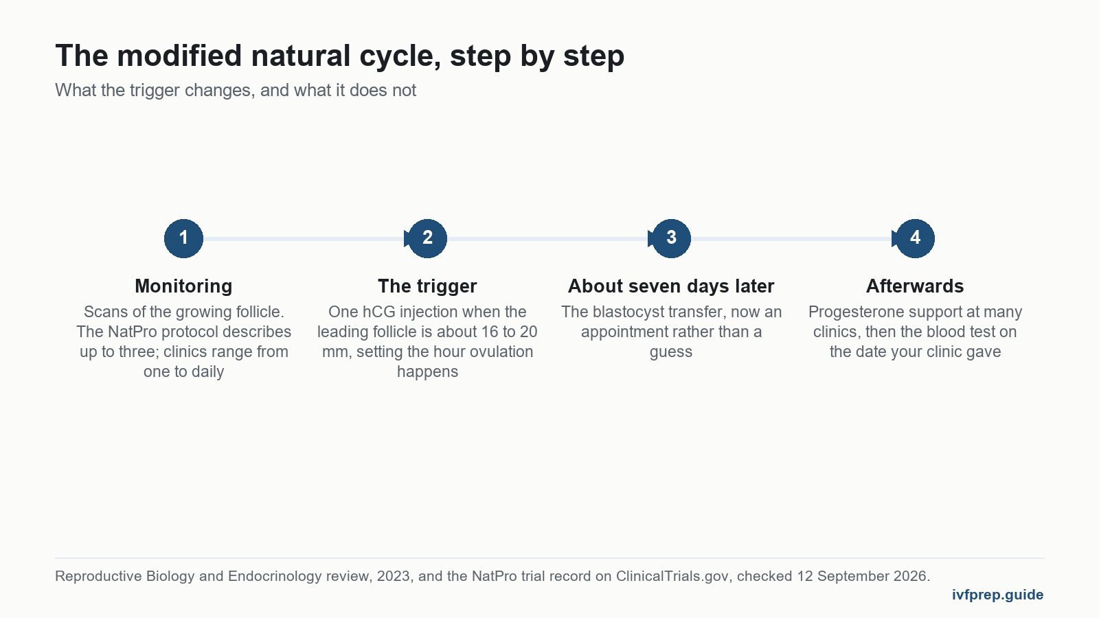 Timeline of a modified natural FET cycle: monitoring scans, the hCG trigger, transfer about seven days later, the test.