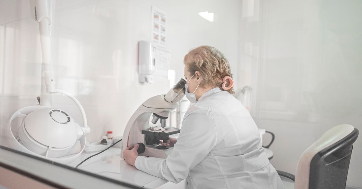Embryologist at a microscope in a laboratory, where fertilization happens in an IVF cycle