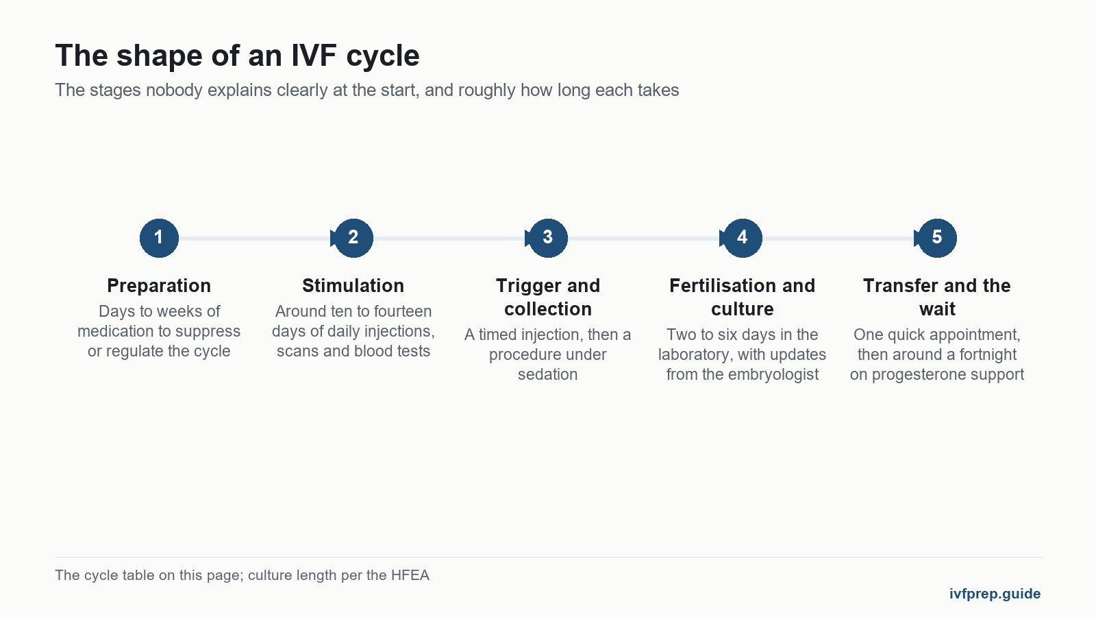 Timeline of the stages of an IVF cycle, one of the main types of assisted reproductive technology, from preparation to the two week wait