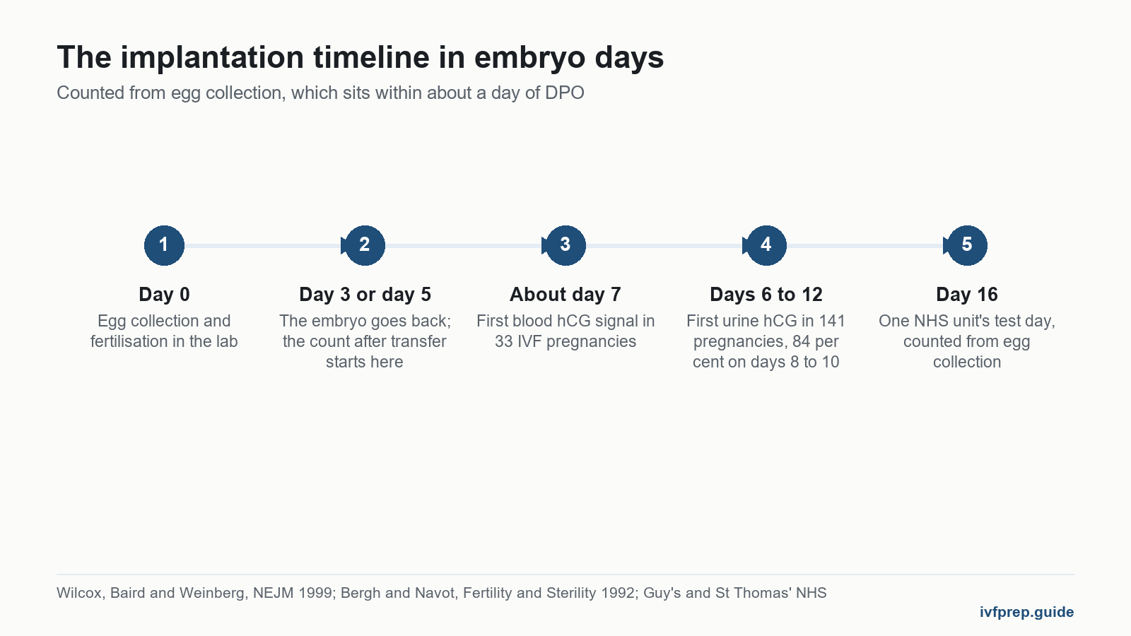 Timeline of the implantation timeline from egg collection to test day, with day 3 and day 5 transfers marked